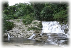 Cachoeira - Passeios Ecológicos - Hotel Mar