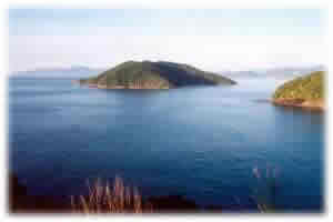 Ilha do Tamanduá - Hotel Mar Caraguatatuba